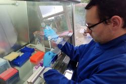 The virus appears in faeces within three days of infection, which is much sooner than the time taken for people to develop symptoms severe enough for them to be hospitalised.